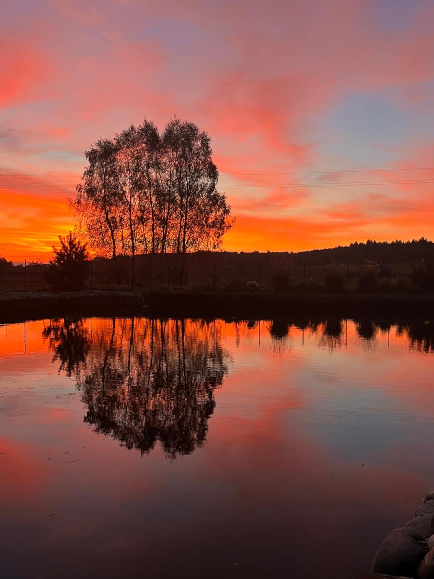 Вилла Vila Тракай Экстерьер фото